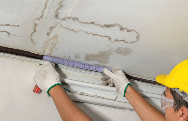 Reliable Burst Pipe Cleanup contractor in Centennial, WY by Water Damage Irwin